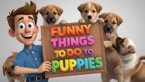 funny things to do to puppies